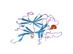 2bba: Crystal Structure and Thermodynamic Characterization of the EphB4 Receptor in Complex with an ephrin-B2 Antagonist Peptide Reveals the Determinants for Receptor Specificity