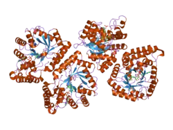2bp1: STRUCTURE OF THE AFLATOXIN ALDEHYDE REDUCTASE IN COMPLEX WITH NADPH