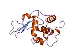 2bqi: CONTRIBUTION OF HYDROPHOBIC EFFECT TO THE CONFORMATIONAL STABILITY OF HUMAN LYSOZYME