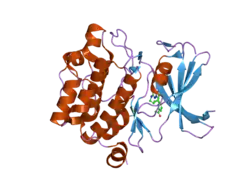 2c3i: CRYSTAL STRUCTURE OF HUMAN PIM1 IN COMPLEX WITH IMIDAZOPYRIDAZIN I