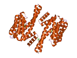2c74: 14-3-3 PROTEIN ETA (HUMAN) COMPLEXED TO PEPTIDE