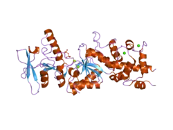 2col: Crystal structure analysis of CyaA/C-Cam with Pyrophosphate