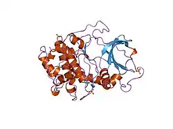 2cpk: CRYSTAL STRUCTURE OF THE CATALYTIC SUBUNIT OF CYCLIC ADENOSINE MONOPHOSPHATE-DEPENDENT PROTEIN KINASE