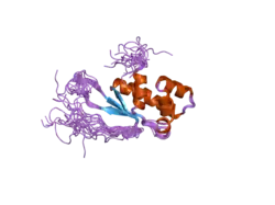 2cqm: Solution structure of the mitochondrial ribosomal protein L17 isolog