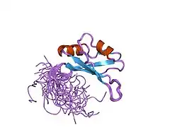 2cqp: Solution structure of the RNA binding domain of RNA-binding protein 12
