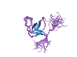 2dbm: Solution structures of the SH3 domain of human SH3-containing GRB2-like protein 2