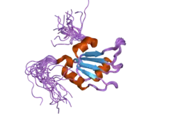 2dnn: Solution structure of RNA binding domain in RNA-binding protein 12