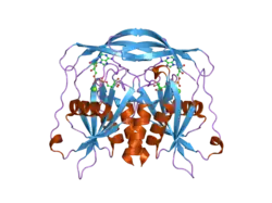 2dsc: Crystal structure of human ADP-ribose pyrophosphatase NUDT5 in complex with magnesium and ADP-ribose