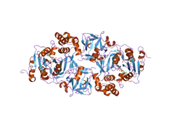 2ffv: Human ppGalNAcT-2 complexed with manganese and UDP