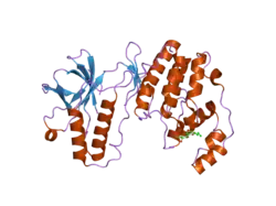 2fsm: Mitogen activated protein kinase p38alpha (D176A+F327S) activating mutant form-B