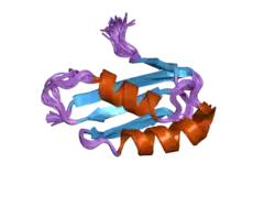 2g9o: Solution structure of the apo form of the third metal-binding domain of ATP7A protein (Menkes Disease protein)