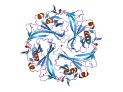 2gix: Cytoplasmic Domain Structure of Kir2.1 containing Andersen's Mutation R218Q and Rescue Mutation T309K