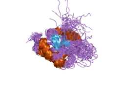 2gt5: Solution structure of apo Human Sco1