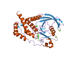 2h03: Structural studies of protein tyrosine phosphatase beta catalytic domain in complex with inhibitors