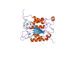 2h48: Crystal structure of human caspase-1 (Cys362->Ala, Cys364->Ala, Cys397->Ala) in complex with 3-[2-(2-benzyloxycarbonylamino-3-methyl-butyrylamino)-propionylamino]-4-oxo-pentanoic acid (z-VAD-FMK)