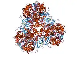2h7c: Crystal structure of human carboxylesterase in complex with Coenzyme A