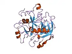 2hgt: STRUCTURE OF THE HIRUGEN AND HIRULOG 1 COMPLEXES OF ALPHA-THROMBIN