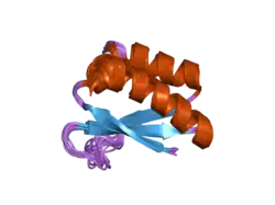 2hh3: Solution structure of the third KH domain of KSRP