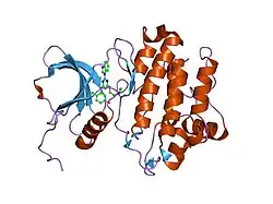 2hk5: Hck Kinase in Complex with Lck targeted Inhibitor PG-1009247