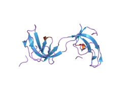 2hl3: Crystal structure of the A49M mutant CAP-Gly domain of human Dynactin-1 (p150-Glued) in complex with human EB1 C-terminal hexapeptide