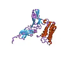 2hym: NMR based Docking Model of the Complex between the Human Type I Interferon Receptor and Human Interferon alpha-2
