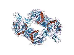 2ian: Structural basis for recognition of mutant self by a tumor-specific, MHC class II-restricted TCR