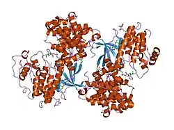 2iw8: STRUCTURE OF HUMAN THR160-PHOSPHO CDK2-CYCLIN A F82H-L83V-H84D MUTANT WITH AN O6-CYCLOHEXYLMETHYLGUANINE INHIBITOR