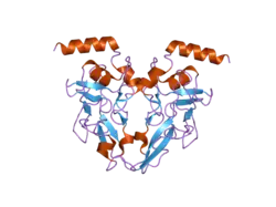 2iyk: CRYSTAL STRUCTURE OF THE UPF2-INTERACTING DOMAIN OF NONSENSE MEDIATED MRNA DECAY FACTOR UPF1