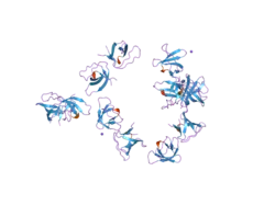 2j6k: N-TERMINAL SH3 DOMAIN OF CMS (CD2AP HUMAN HOMOLOG)