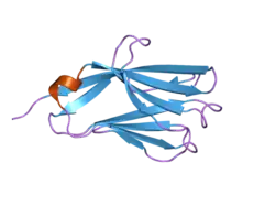 2nms: The Crystal Structure of the Extracellular Domain of the Inhibitor Receptor Expressed on Myeloid Cells IREM-1