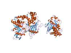 2nv5: Crystal structure of a C-terminal phosphatase domain of Rattus norvegicus ortholog of human protein tyrosine phosphatase, receptor type, D (PTPRD)