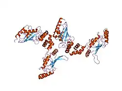 2o25: Ubiquitin-Conjugating Enzyme E2-25 kDa Complexed With SUMO-1-Conjugating Enzyme UBC9