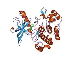 2oj9: Structure of IGF-1R kinase domain complexed with a benzimidazole inhibitor
