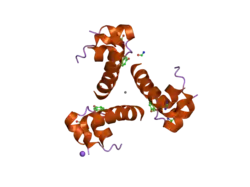 2omh: Structure of human insulin cocrystallized with ARG-12 peptide in presence of urea