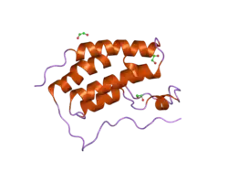 2oss: Crystal structure of the Bromo domain 1 in human Bromodomain Containing Protein 4 (BRD4)