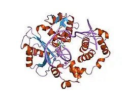 2pfq: Manganese promotes catalysis in a DNA polymerase lambda-DNA crystal