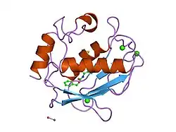 2usn: CRYSTAL STRUCTURE OF THE CATALYTIC DOMAIN OF HUMAN FIBROBLAST STROMELYSIN-1 INHIBITED WITH THIADIAZOLE INHIBITOR PNU-141803