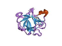 7i1b: HIGH-RESOLUTION THREE-DIMENSIONAL STRUCTURE OF INTERLEUKIN-1 BETA IN SOLUTION BY THREE-AND FOUR-DIMENSIONAL NUCLEAR MAGNETIC RESONANCE SPECTROSCOPY