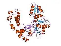 7ico: DNA POLYMERASE BETA (E.C.2.7.7.7)/DNA COMPLEX, SOAKED IN THE PRESENCE OF ZNCL2