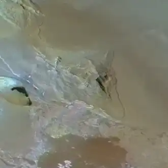 Voyager 1 photo of Io's highest peak, Boösaule Montes "South"