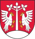 Myślenice County