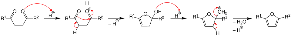 Paal-Knorr furan synthesis mechanism
