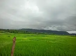 Paddy fields in Dhakti Jui