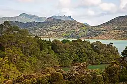 Landscape viewed from Parua Bay