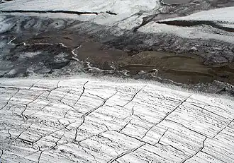 Contraction crack (ice wedge) polygons on Arctic sediment.