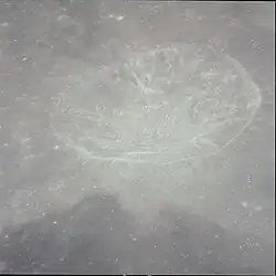 Petavius B crater, from Apollo 12