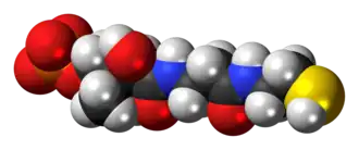 Space-filling model of the phosphopantetheine molecule as an anion (2- charge)