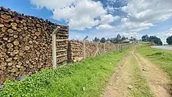 Piles of chopped dry ecalyptus wood in near Butare town in Bushenyi district in Western Uganda.