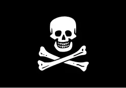 Black flag with traditional skull and crossbones