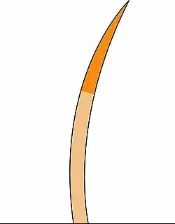 Cameo shaded (red / cream silver)